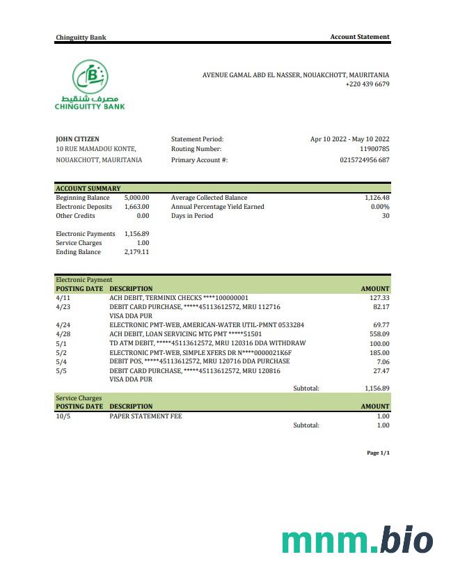 Szablon wyciągu bankowego Mauretania BNP Paribas w programie Word i PDF